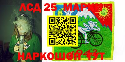 дмт Будённовск
