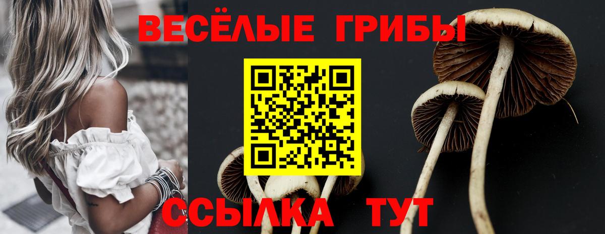 Псилоцибиновые грибы Psilocybine cubensis  Вход с VPN  купить наркоту  Одинцово 